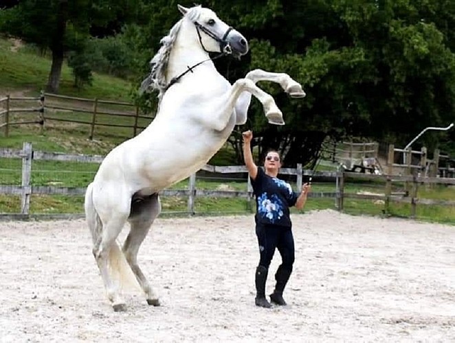 Les écuries du moulin à poudre
