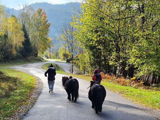 Tierische Komplizenschaft - Pädagogischer Bauernhof