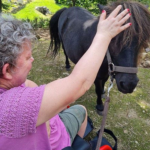 Tierische Komplizenschaft - Pädagogischer Bauernhof