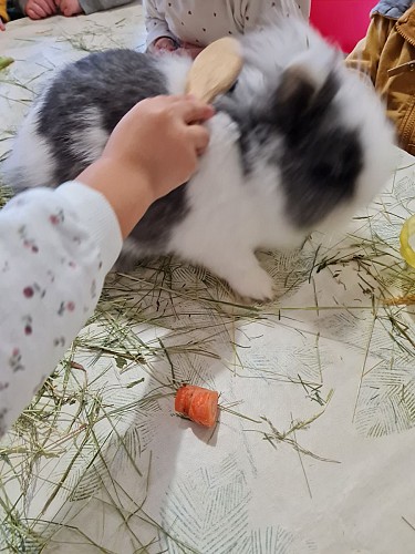 Complicités animales - pedagogical farm