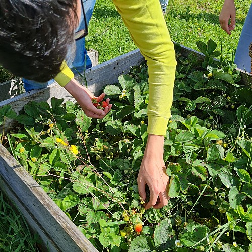 Complicités animales - pedagogical farm