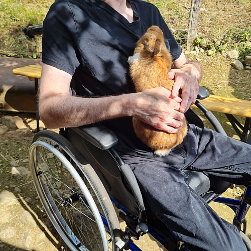 Complicités animales - Ferme pédagogique