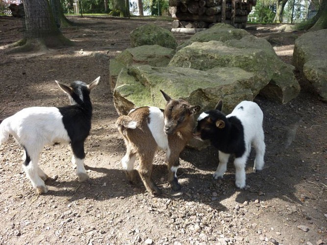 Parc Municipal - Sarreguemines