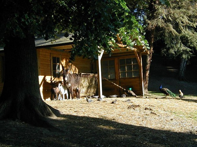 Parc Municipal - Sarreguemines