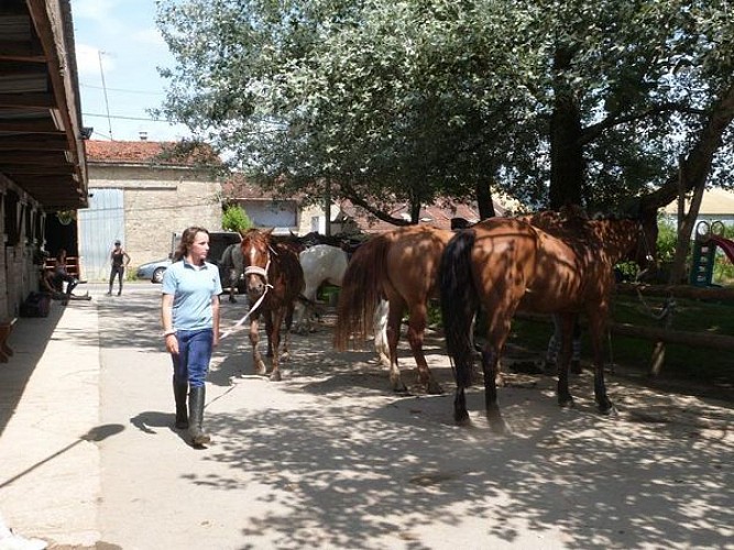 Centre équestre le Ranch