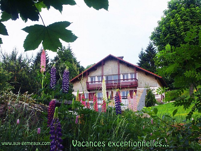 Gîte Les Coquelicots - Aux gémeaux