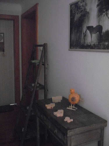 Gîte Le Cheval Islandais - Couloir - Kappelkinger