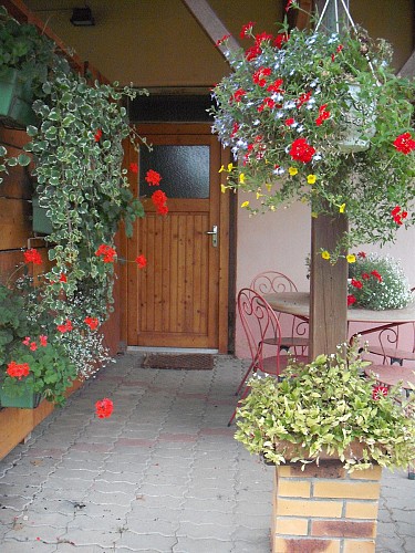 Gîte Le Cheval Islandais - Terrasse extérieure - Kappelkinger