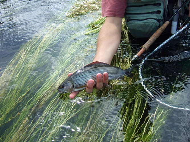 Maison de l'Eau et de la Pêche de la Corrèze