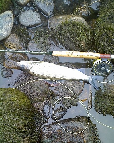 Maison de l'Eau et de la Pêche de la Corrèze