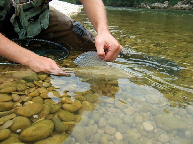 Maison de l'Eau et de la Pêche de la Corrèze_7