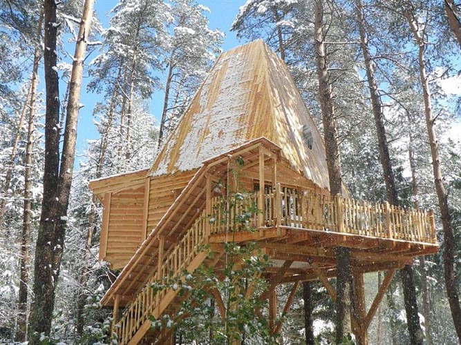 Tree houses - Nids des Vosges