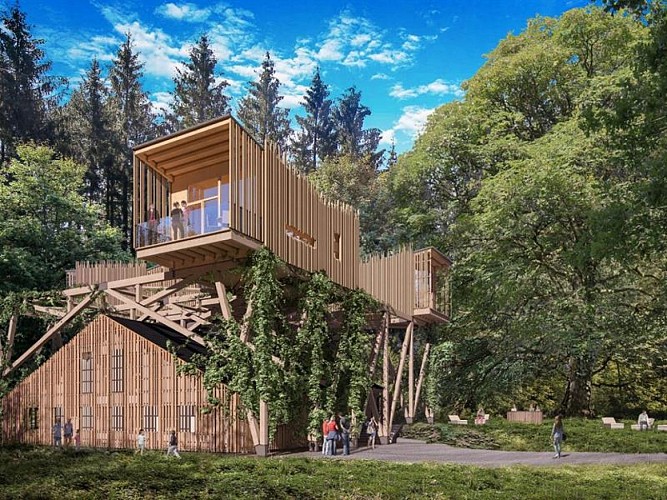 Tree houses - Nids des Vosges