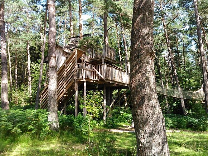 Tree houses - Nids des Vosges