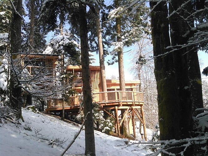 Tree houses - Nids des Vosges