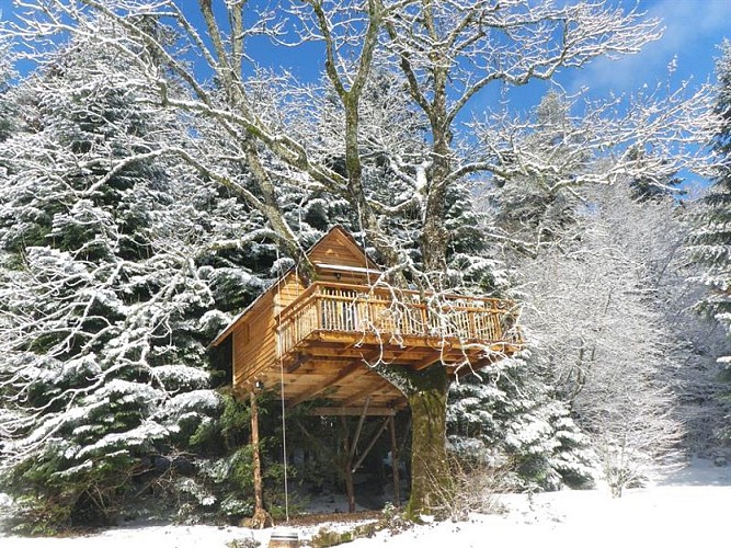 Cabanes dans les arbres Nids des Vosges