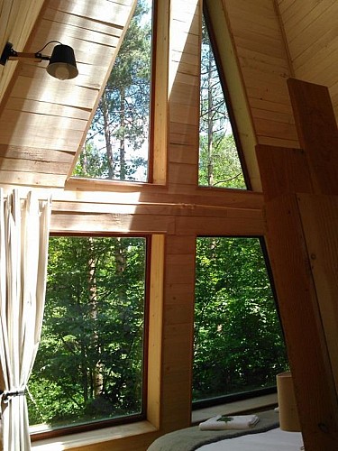 Cabanes dans les arbres Nids des Vosges