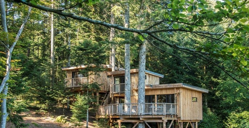 Cabanes dans les arbres Nids des Vosges