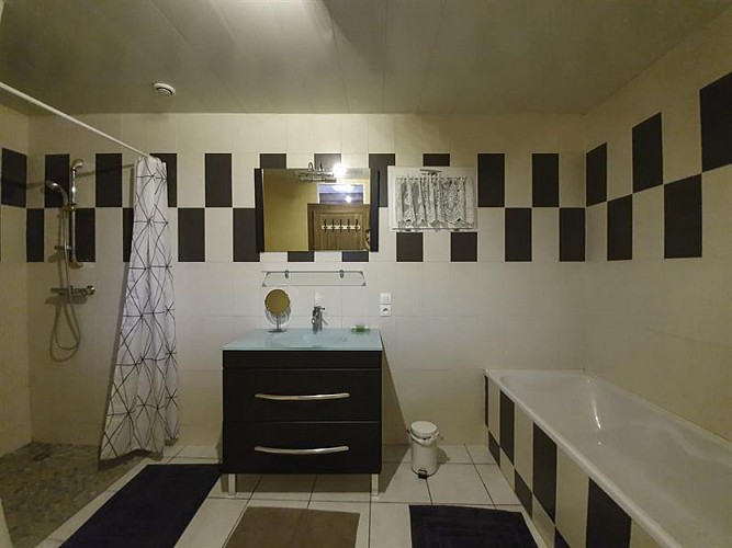 salle de bain avec douche et baignoire