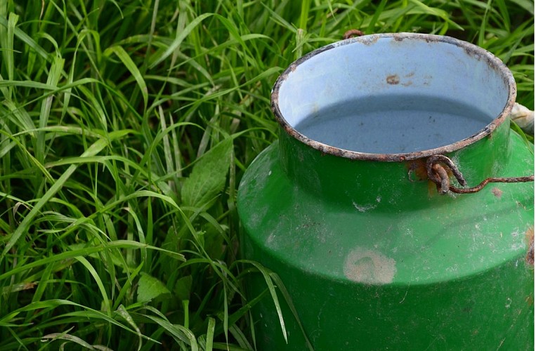 2023-07-13 16_41_38-Seau Traite Le Lait - Photo gratuite sur Pixabay - Pixabay — Mozilla Firefox