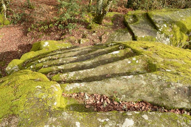 La pierre au neufs gradins