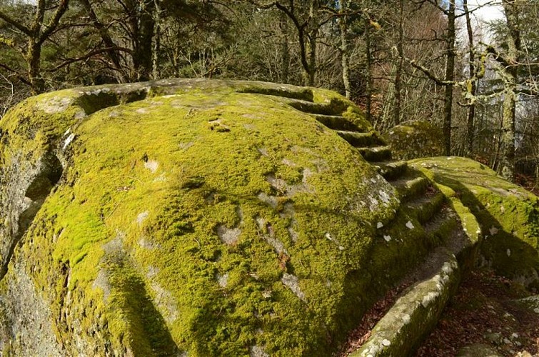 La pierre au neufs gradins(2)