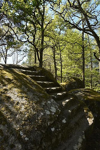 La pierre au neufs gradins(3)