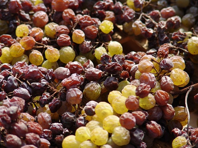 Domaine de Chirac