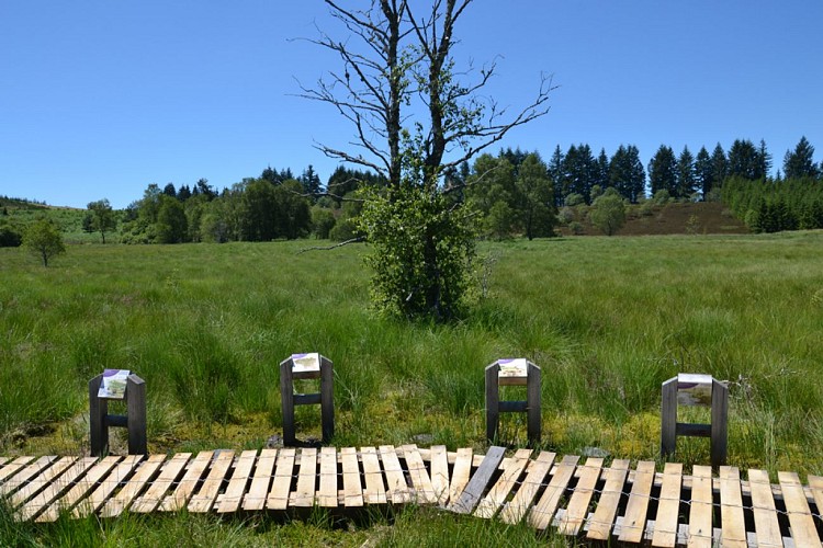 Peat bog of Longeyroux