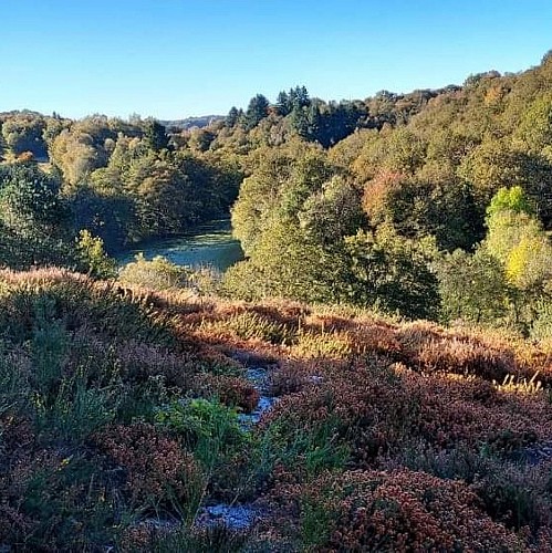 Les combes de la Cazine