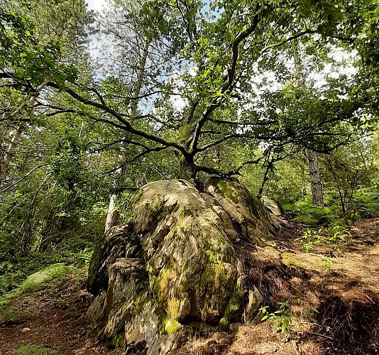 Les combes de la Cazine
