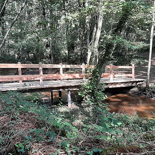 Les combes de la Cazine