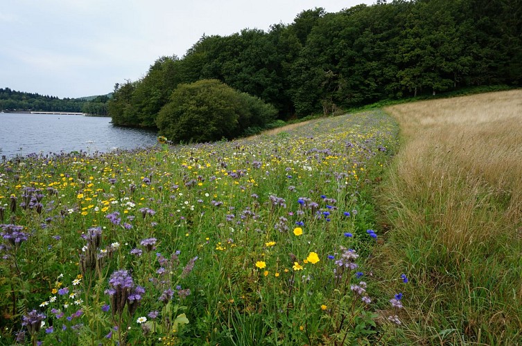 Centre International d'Art et du Paysage