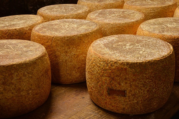 Duroux cheese dairy