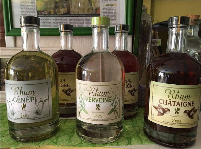 Un Amour de Vin (copie)