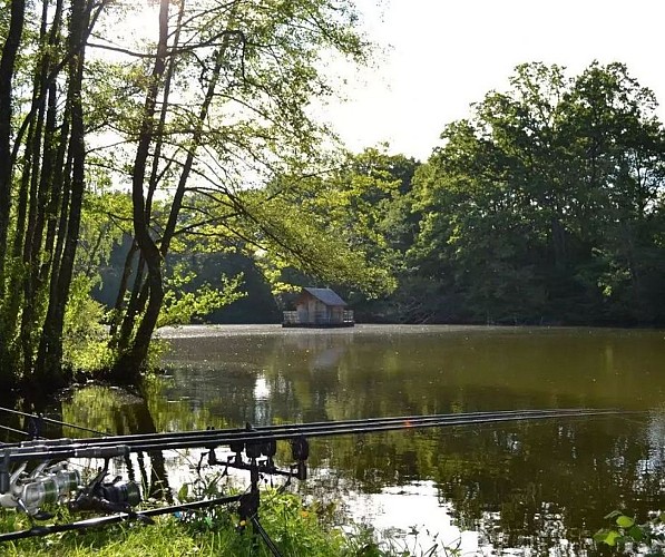 DOMAINE DES VAULX : GRANDE ÎLE DE LA POUPARDIÈRE