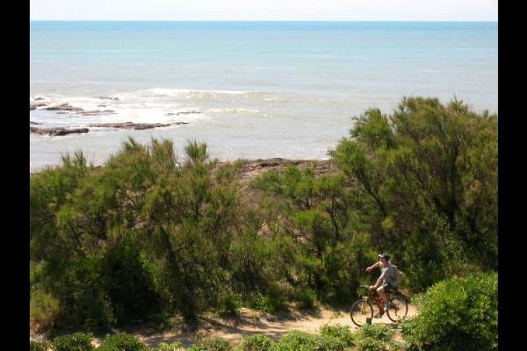 Appartement M. et Mme Libotte