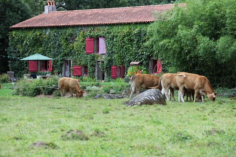 GÎTE DE LA ROCHE