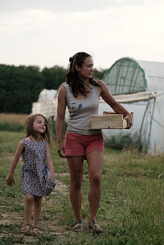 Camping à la ferme - Les rangs d'oignons