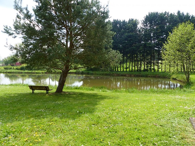 AIRE NATURELLE DE CAMPING