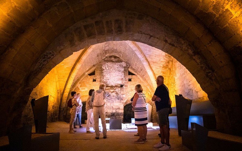 centre-interpretation-architecture-patrimoine-bayonne-cave