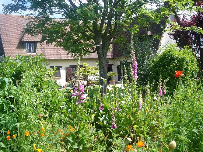 Joris_Laroseraie (1)