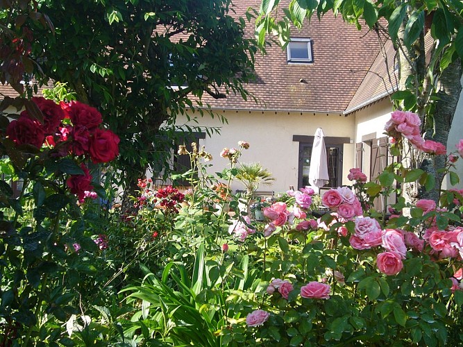 Joris_Laroseraie (6)