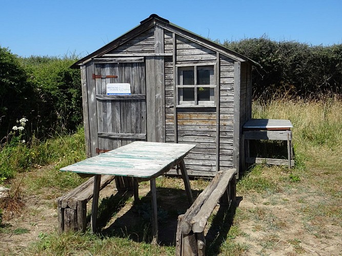 Station de baguage de l'étang de TRunvel - Bretagne Vivante
