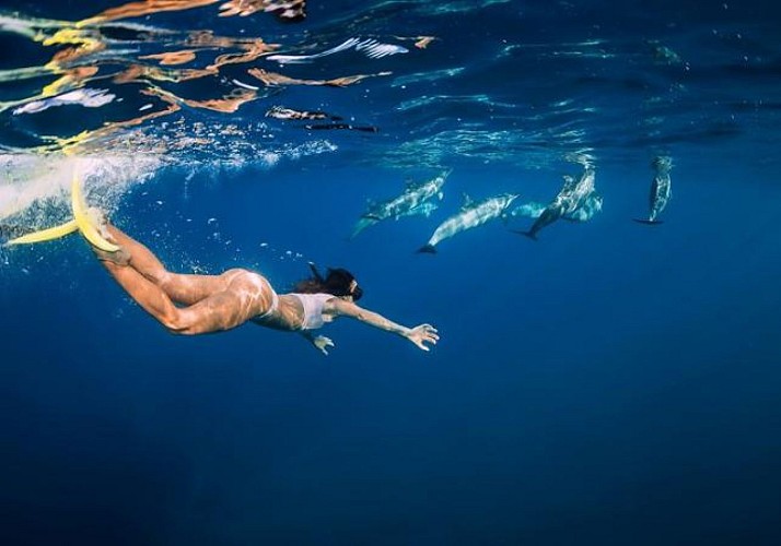 Sortie en bateau & nage avec les dauphins à La Réunion, au départ de Saint-Gilles-les-Bains - Equipement inclus