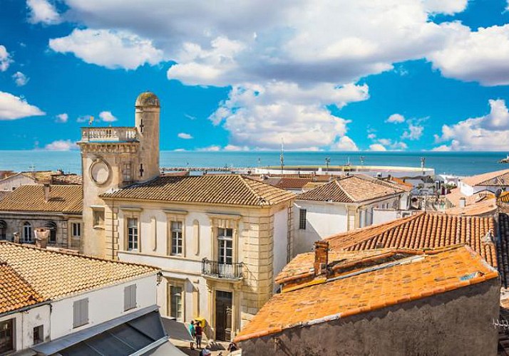 Excursion to the Camargue Nature Park and Tour of Saintes Maries de la Mer