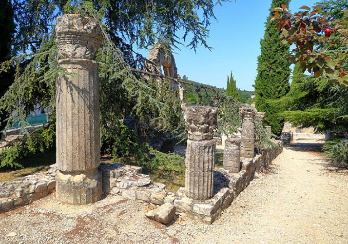 Visite de Vaison la Romaine et dégustation de vins et fromages