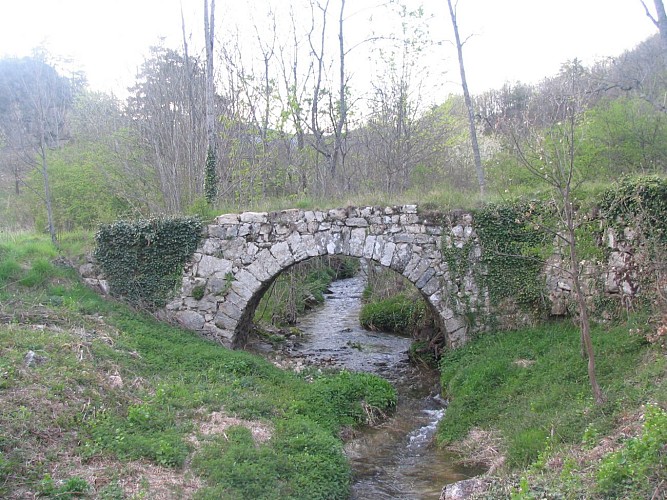 Vieux pont sur le Mézayon
