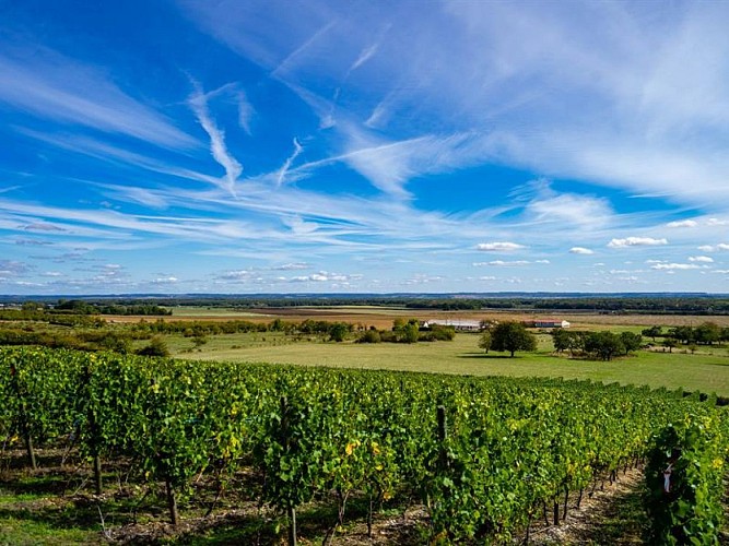 DOMAINE LÉO-PAUL LIÉNARD