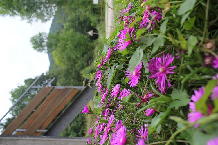 Gîte montagnat grand